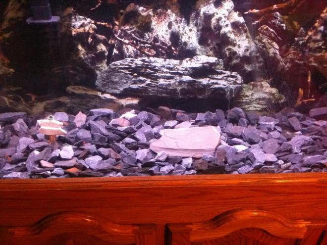 55 gallons freshwater fish tank (mostly fish and non-living decorations) - 55 gallon fish tank, emperor 400, 2 golden oscars, small slate pieces of gravel, signno fishing lol and 75g heater. Used to have sand but changed it to slate cause looks better
