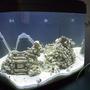 fish tank picture - A Biocube tank