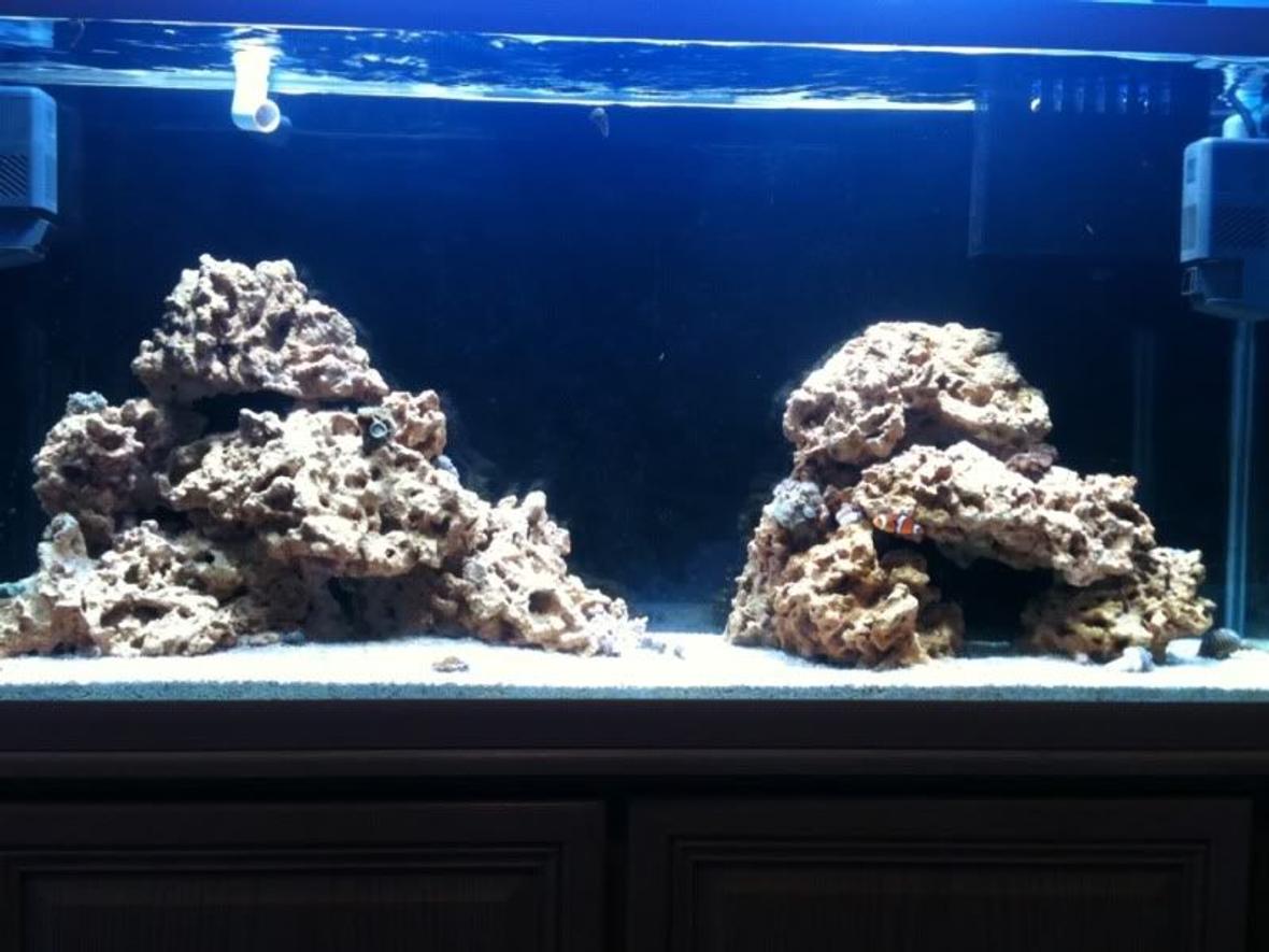 65 gallons reef tank (mostly live coral and fish) - tank