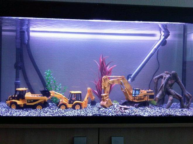 35 gallons freshwater fish tank (mostly fish and non-living decorations) - my new 35g freshwater sunken quarry tank. looking for a background if anyone knows any that will go it would be greatly appreciated