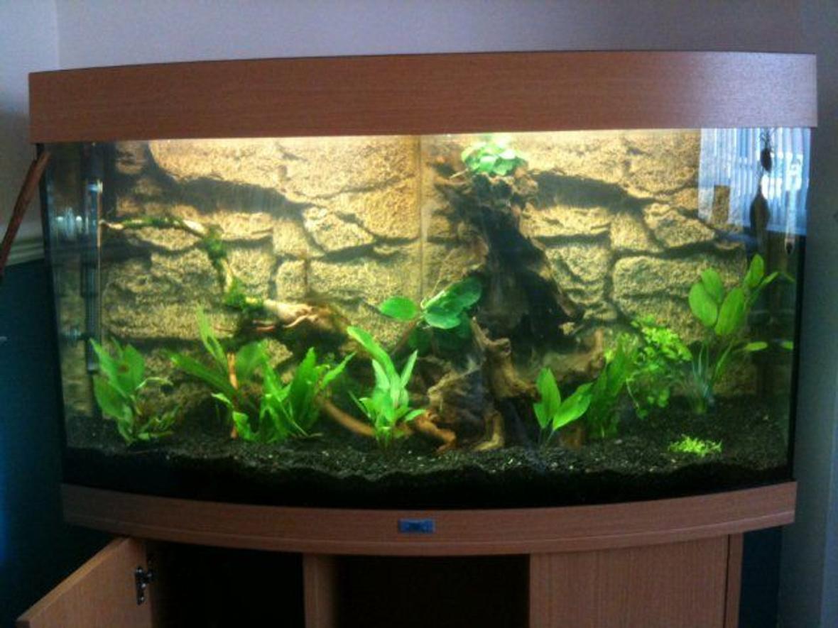 180 gallons planted tank (mostly live plants and fish) - ...a pic before any fish were added. Hav a few more plants now too...