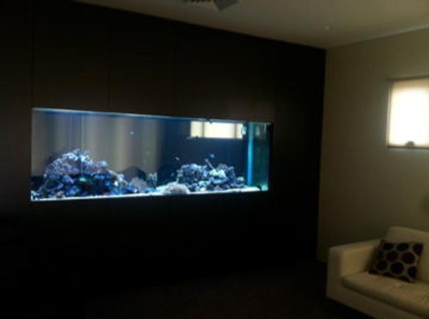 Rated #79: 800 Gallons Reef Tank - About 1/3 stocked currently 160kg live rock with various corals, anemones, shrimp, prawns, crabs, starfish and fish
