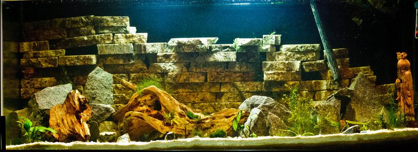 Rated #85: 75 Gallons Planted Tank - Stage 1 Planting

Solid Marble Backdrop

Got a ton of plants coming in soon.