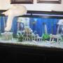 55 gallons freshwater fish tank (mostly fish and non-living decorations) - 55 gallon freshwater planted tank