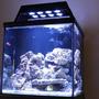 fish tank picture - .