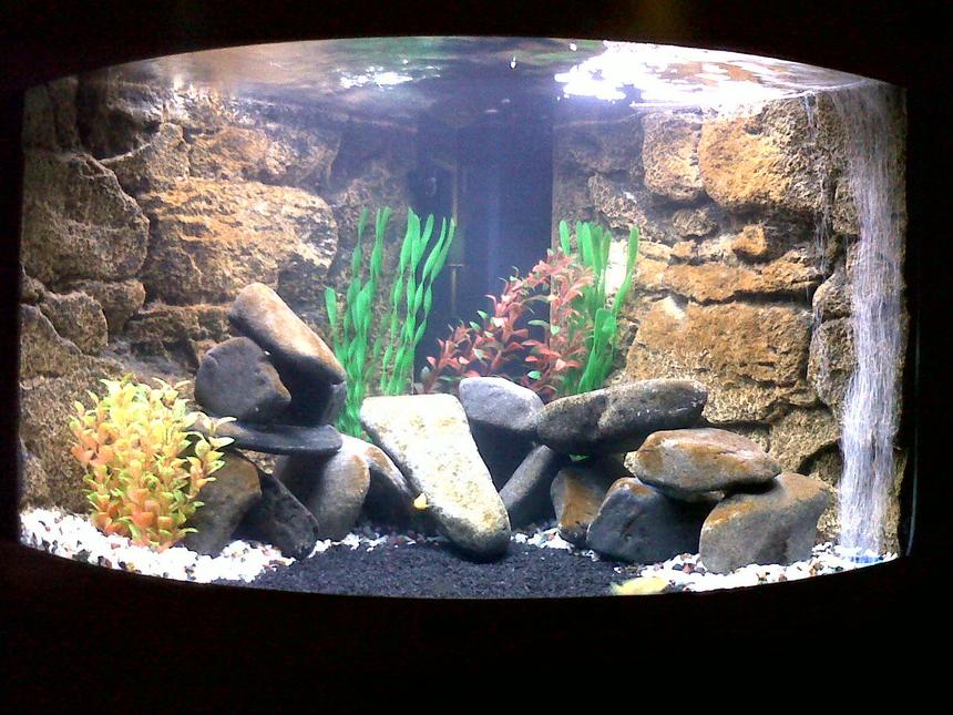 Rated #24: 44 Gallons Freshwater Fish Tank - Mbuna tank