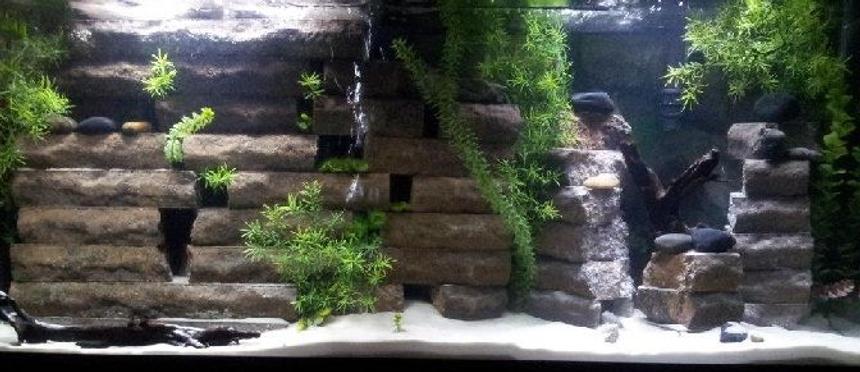 Rated #84: 55 Gallons Freshwater Fish Tank - Many hiding places for fish. Fish
are able to swim through various
sections of the brick wall which is
build n a pyramid shape.