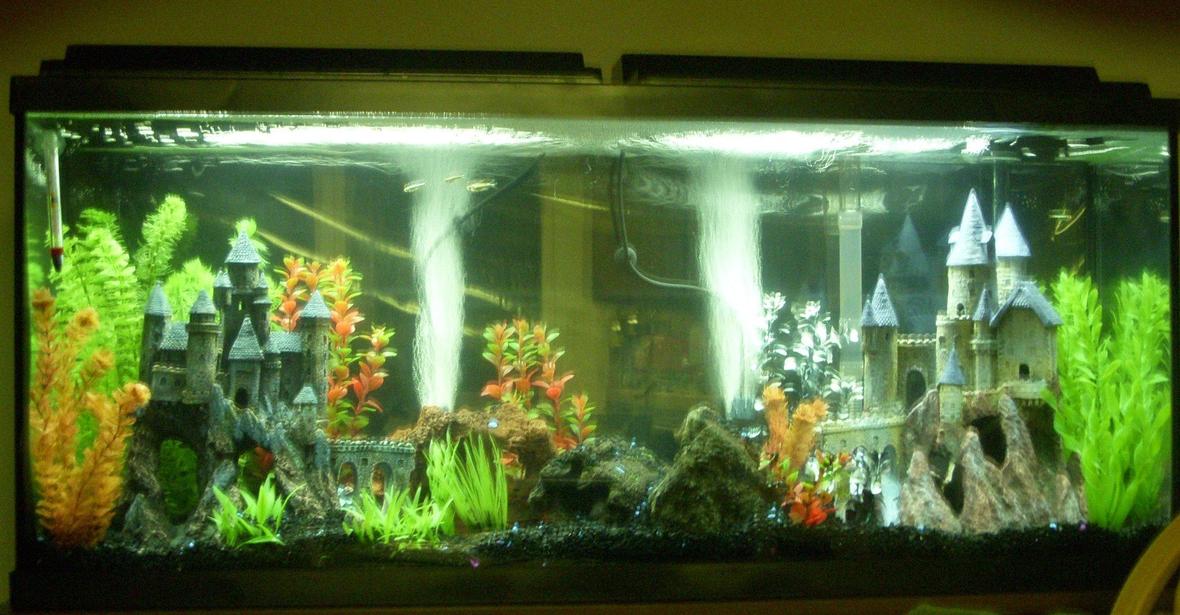 55 gallons freshwater fish tank (mostly fish and non-living decorations) - 55 Gallon Freshwater Community Artificial plants and decor. Yeah, it's not salt or cichlid, so low votes are expected.