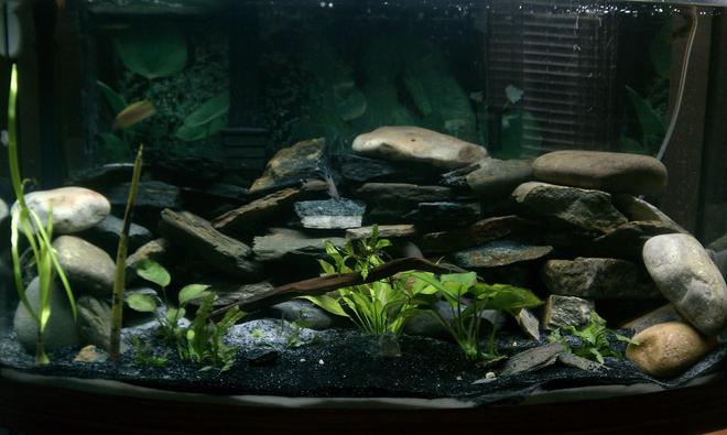 46 gallons freshwater fish tank (mostly fish and non-living decorations) - Just big enough.  Simple and easy to care for.