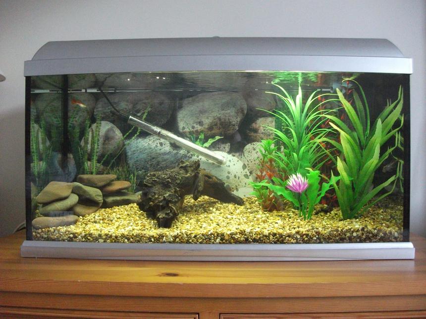 Rated #2303: 23 Gallons Freshwater Fish Tank - My 23 gallon ( 90 litre ) tropical aquarium