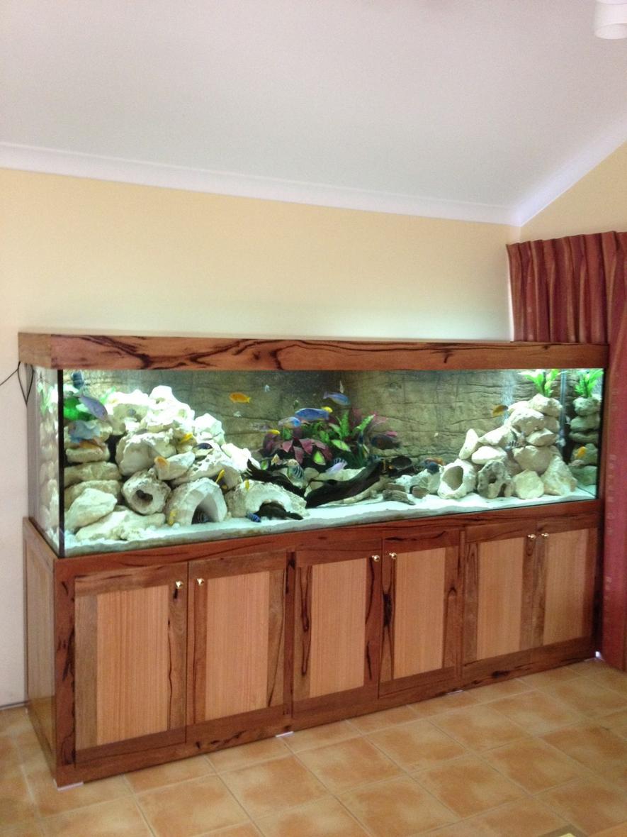 Rated #41: 340 Gallons Freshwater Fish Tank - 340g african cichlid tank
