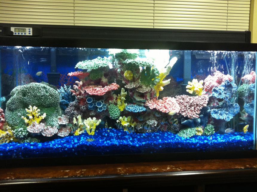Rated #1115: 55 Gallons Freshwater Fish Tank - CORAL, BLUE GRAVEL, 55 gal