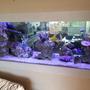 fish tank picture - veiw from otherside of tank