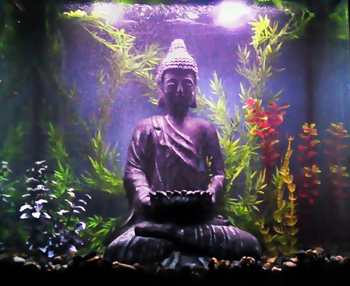 30 gallons freshwater fish tank (mostly fish and non-living decorations) - I have a tall tank that is just under 30 gallons. Inside of the tank I have black aquarium gravel with smooth, black to dark river pebbles layered on top of it. In the center I have a large Buddha statue that is almost the height of the aquarium. Behind the statue I have a bubble curtain and have various artificial plants surrounding him. The background is painted blue and am very pleased with the way it turned out. Penguin Power Wheel 350 Double Filter with Bio-balls and carbon. Also I have a self regulated heater and a aquaculture double air pump that's powerful enough for a 60 gallon tank. .