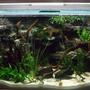105 gallons freshwater fish tank (mostly fish and non-living decorations) - my 4ft x 2ft x2ft communal tank