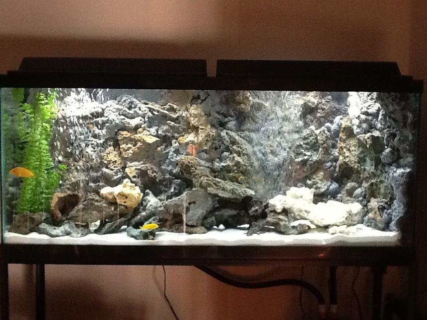Rated #20: 55 Gallons Freshwater Fish Tank - diy rock 3d background