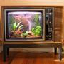 10 gallons freshwater fish tank (mostly fish and non-living decorations) - Old TV converted into Aquarium
