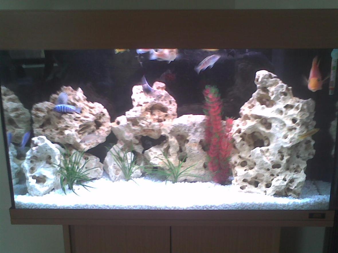 20 gallons freshwater fish tank (mostly fish and non-living decorations) - This is my malawi set up