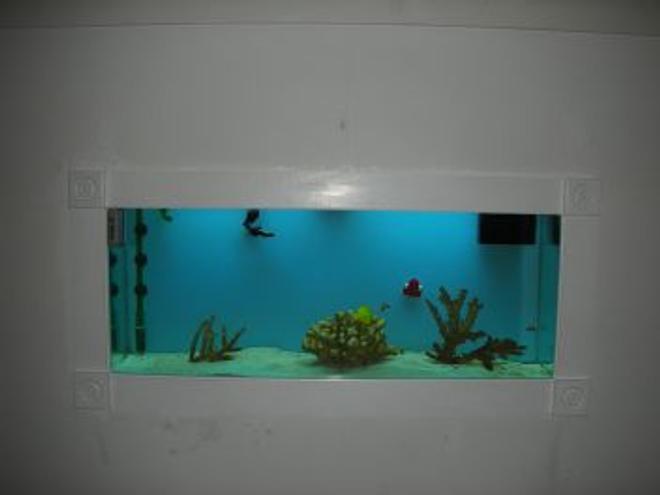 55 gallons saltwater fish tank (mostly fish, little/no live coral) - same tank during the day