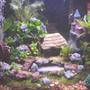 20 gallons freshwater fish tank (mostly fish and non-living decorations) - DWARFS OF THE RINGS