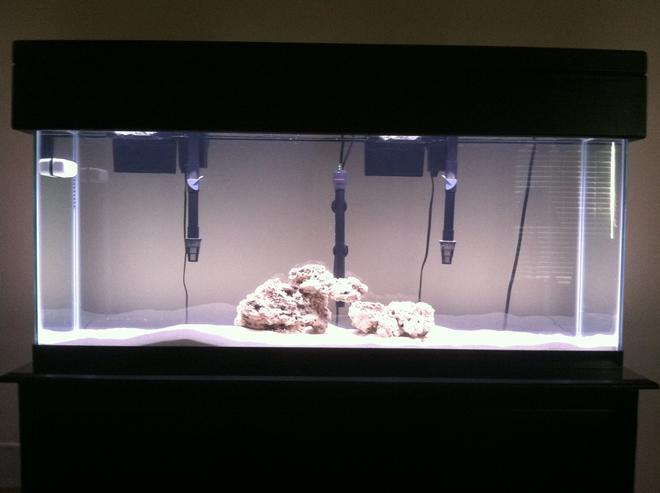 55 gallons freshwater fish tank (mostly fish and non-living decorations) - 55gal African cichlid tank still cycling