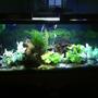 fish tank picture - Updated pic