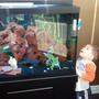 fish tank picture - My son's first reaction to seeing his first aquarium ever. I think he has the bug like his dad