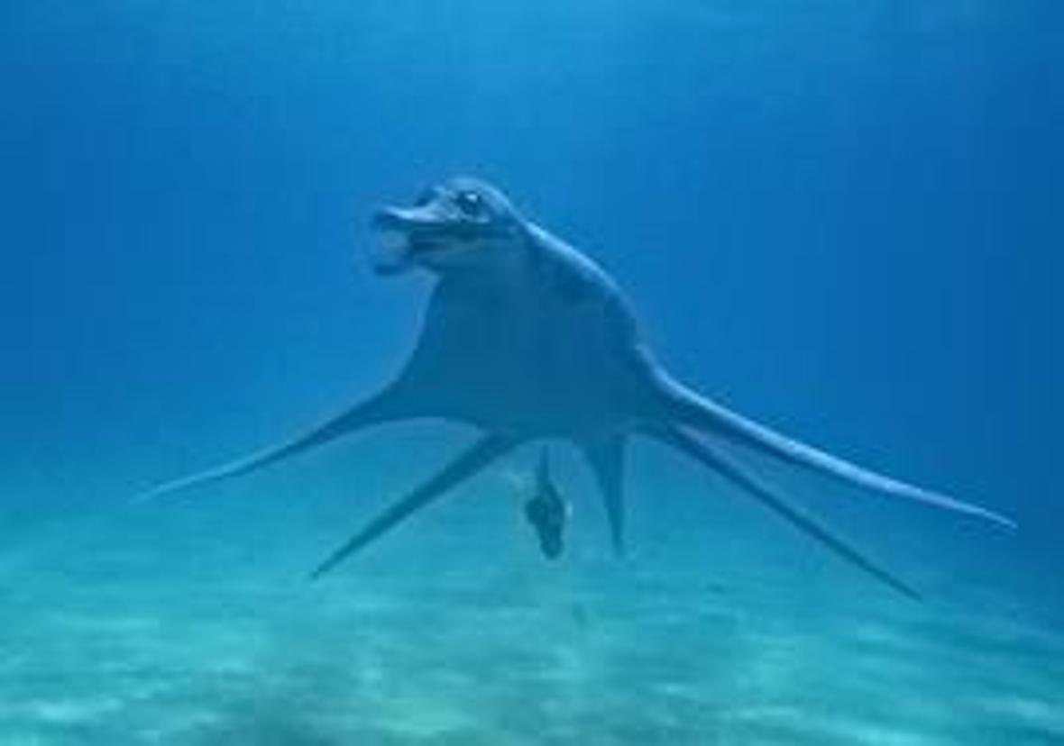 corals inverts stocking in 69 gallons tank - This is my beloved sea monster, Nelly