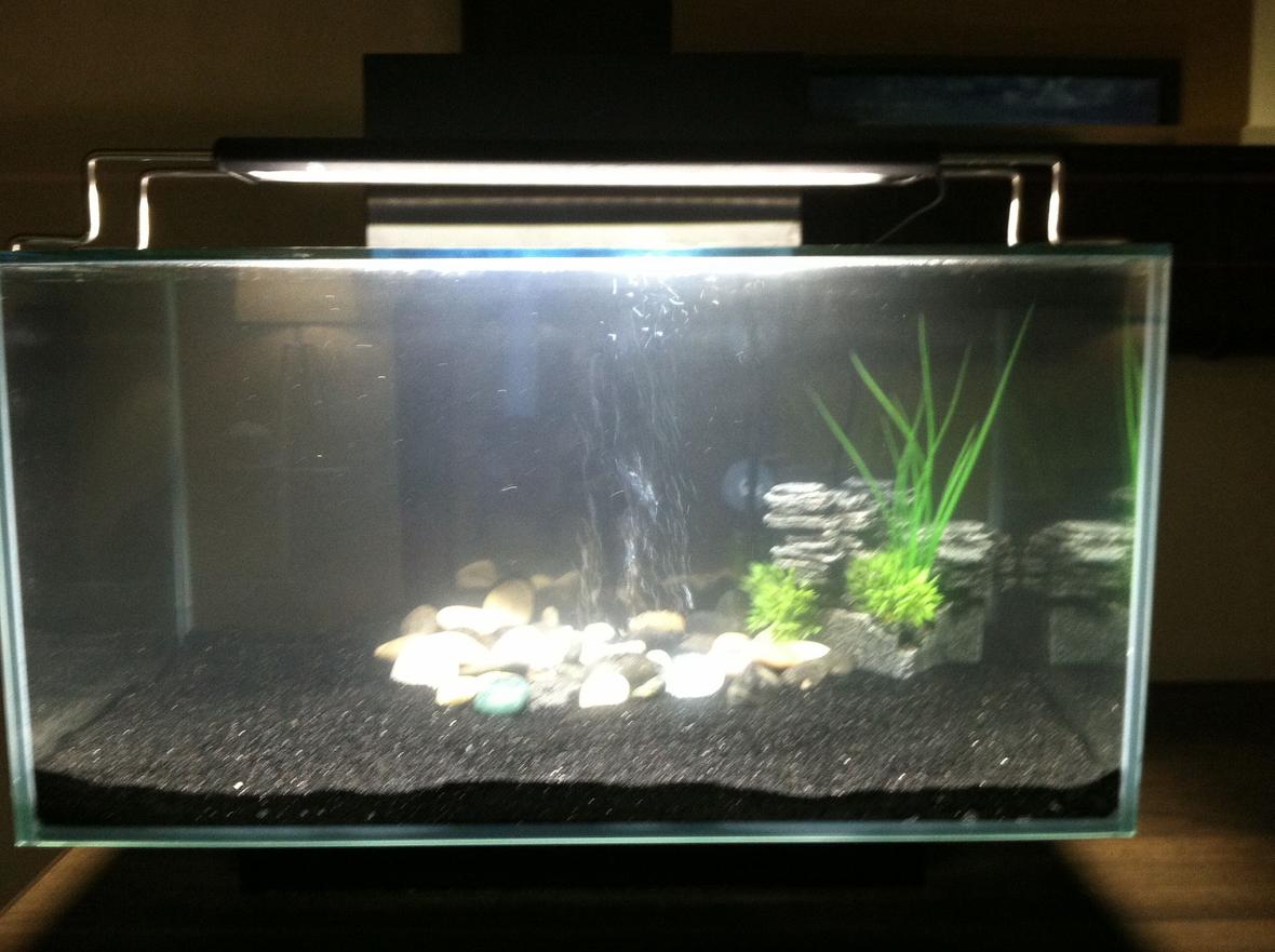 7 gallons freshwater fish tank (mostly fish and non-living decorations) - This is my tank I will upload more as I go