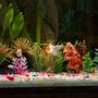 fish tank picture - Redcap