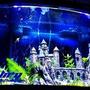 46 gallons planted tank (mostly live plants and fish) - 46 gallon bowfront angelfish castletank liveplants