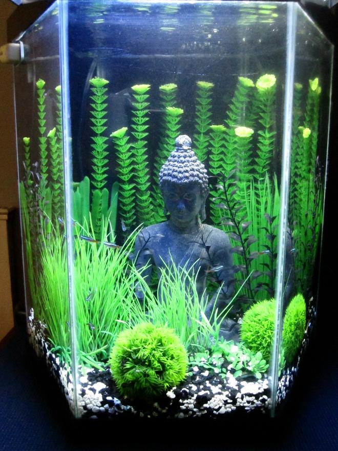 20 gallons freshwater fish tank (mostly fish and non-living decorations) - Black, Green, Grassy, Buddha, Love