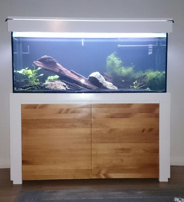 55 gallons planted tank (mostly live plants and fish) - Nothing overly flash, just a 55 gallon planted tank that will house a polleni cichlid. Homemade stand and hood with all natural plants and driftwood. Its still cycling at the moment so I'll post some more pics at a later date.