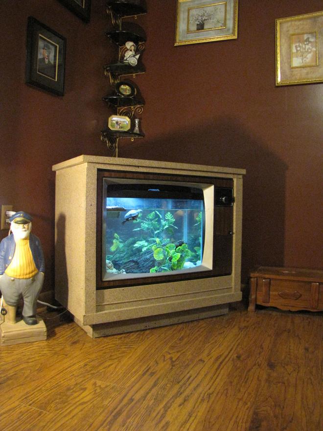 30 gallons freshwater fish tank (mostly fish and non-living decorations) - Hank