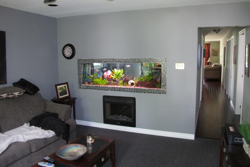 Rated #19: 180 Gallons Planted Tank - 180 gallon aquarium built into living room wall, it is open on both side so I can enjoy the fish in the office as well.