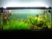 view more best photos of variety 79 gallons tanks 