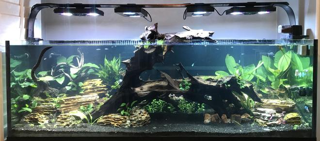 180 gallons planted tank (mostly live plants and fish) - My 180
Ecotech radions
Mp10
Vecter return
Fluval fx6 mechanical only
Co2 dosed
6 auto dosers
Smart ato 
24 watts uv sterilizer