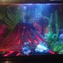 fish tank picture - This is my Jurassic Park Theme. Checkout many more of my custom designs. This theme has working volcanos that errupt, air action dinosaurs and realistic looking hot lava that will amaze you.