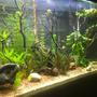 fish tank picture - Full view