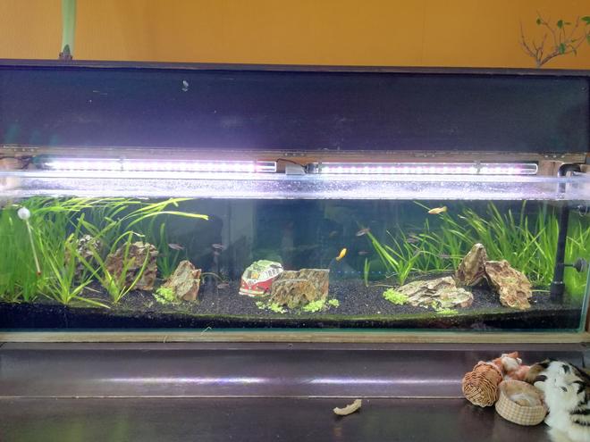 45 gallons freshwater fish tank (mostly fish and non-living decorations) - Normally i have an casing around the aquarium because i made it inside a piano. However, for your view i removed it.