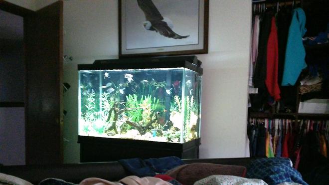 125 gallons saltwater fish tank (mostly fish, little/no live coral) - Fish are sick