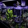 fish tank picture - Corner-view