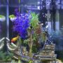 10 gallons freshwater fish tank (mostly fish and non-living decorations) - I added a bubbler, A couple of live plants, And it is a home To 5x neon tetras, 1x Gold Wagtail Platy, 2x amino shrimp, 1x small clown Pleco, And 1x Gold Gyrinocheilus, As well as a small pond" snail" invasion. Topped it off with a FLUVAL 10-30gal filter as upgrade.