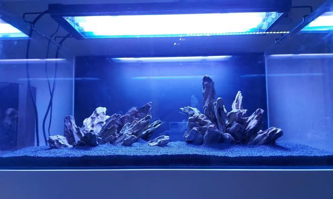 27 gallons freshwater fish tank (mostly fish and non-living decorations) - New pre-planting preparation
