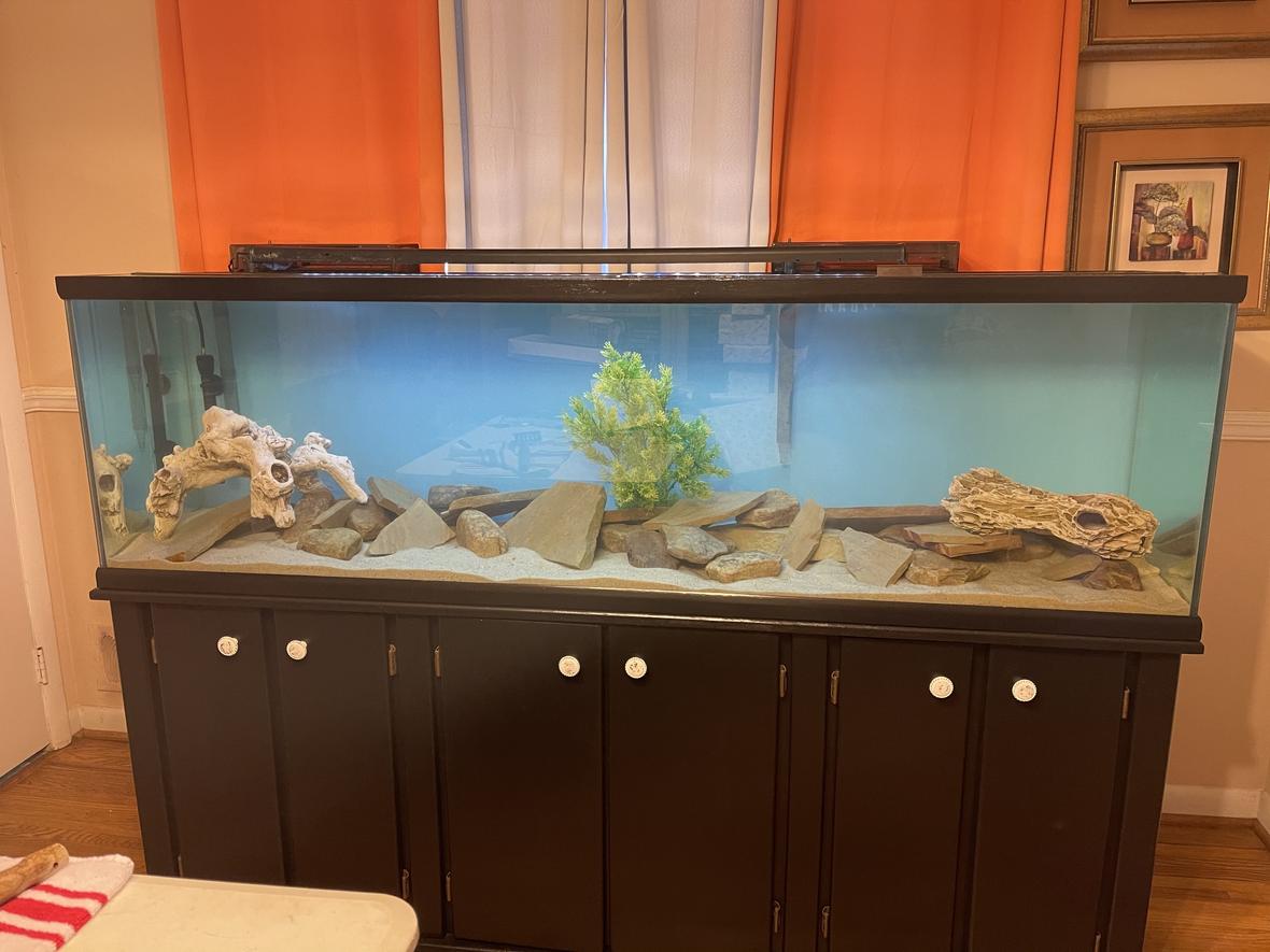 106 gallons freshwater fish tank (mostly fish and non-living decorations) - Waiting on fish
