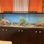 106 gallons freshwater fish tank (mostly fish and non-living decorations) - Waiting on fish