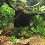 fish tank picture - Additional 03