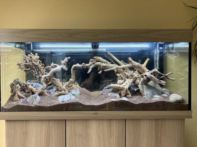 53 gallons planted tank (mostly live plants and fish) - Only hardscaped at the moment .. will update