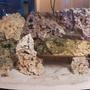 36 gallons saltwater fish tank (mostly fish, little/no live coral) - Liverock set up