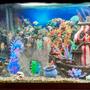 125 gallons freshwater fish tank (mostly fish and non-living decorations) - 125